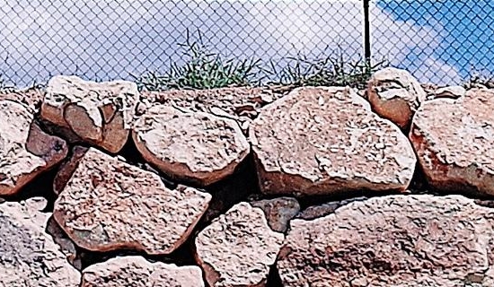 江苏的生活主食是什么