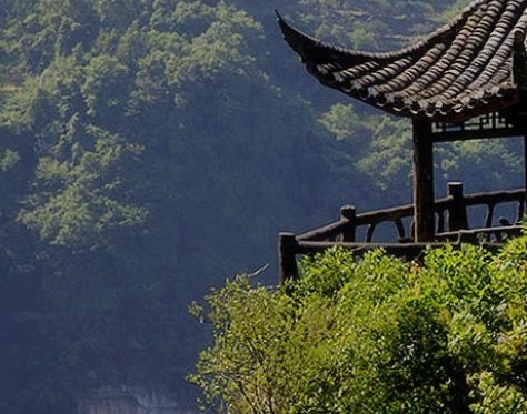 粉象生活悠然大团队