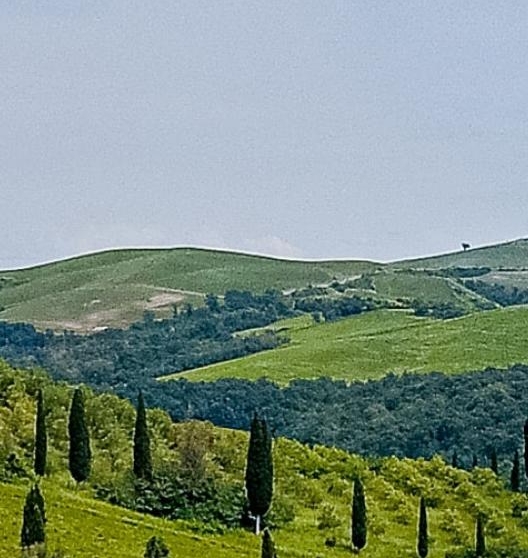 江苏粉象生活是什么