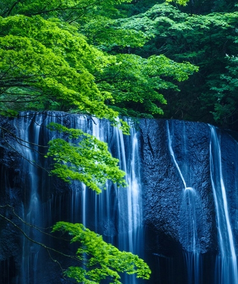 粉象生活被锁粉