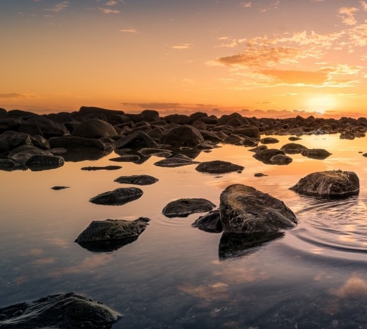 粉象生活里的好友怎么删除