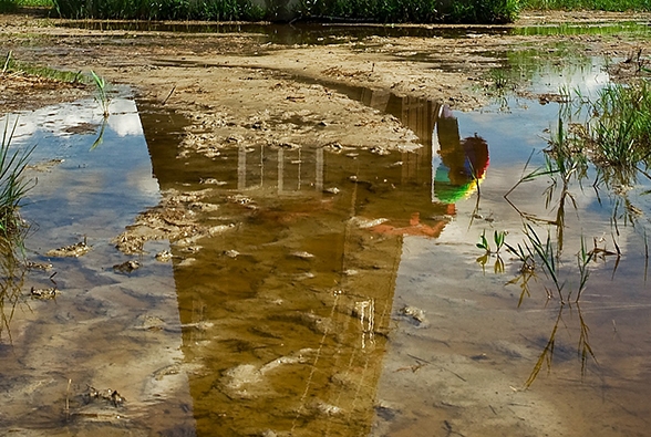 手机应用商店搜索不到软件