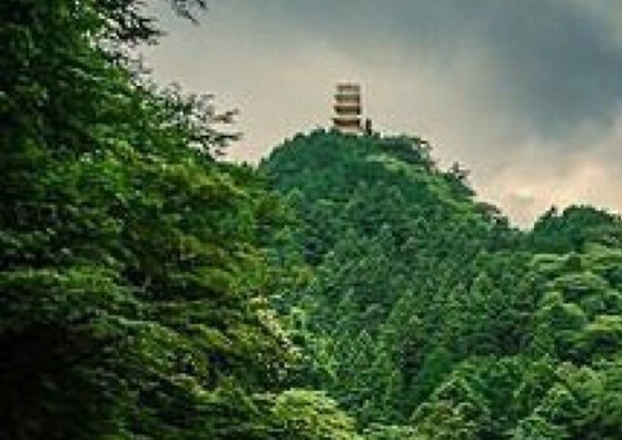 粉象生活app