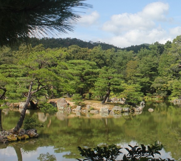 粉象生活app