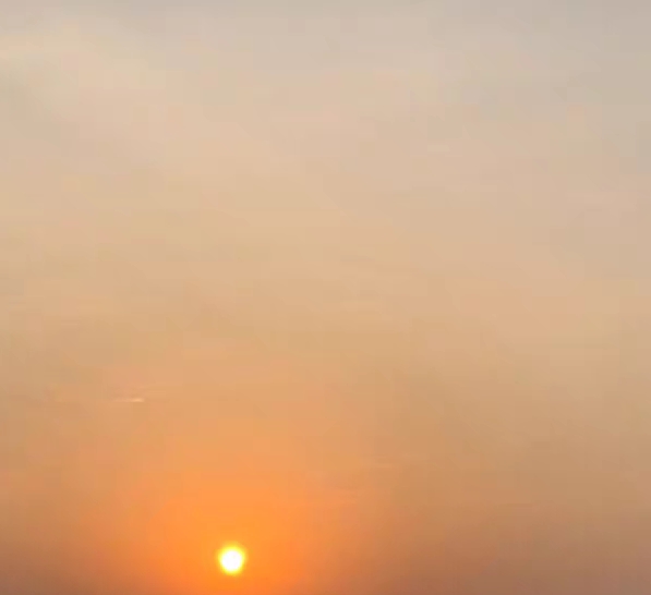 亚马逊生活纪录片