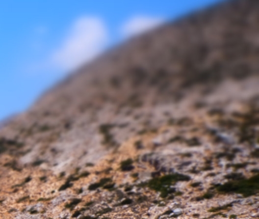 有没有必要开通粉象会员