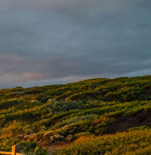 粉象一般人能喝几瓶