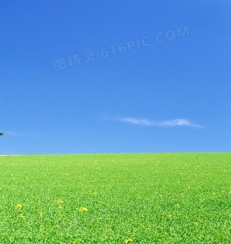 何为粉象生活
