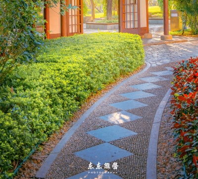粉象生活