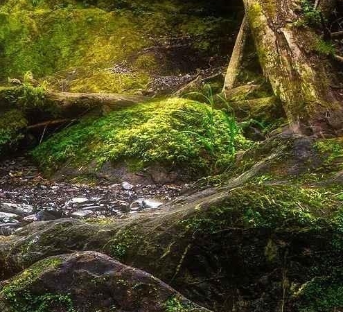 粉象生活买东西便宜么