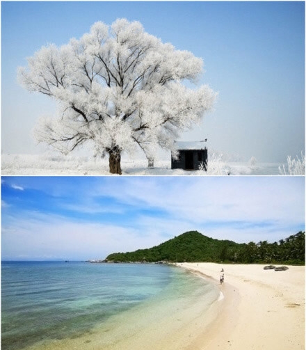 粉象生活合法吗