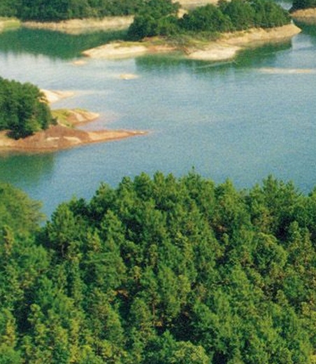 粉象生活免费流量包