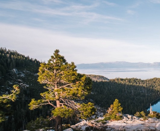 怎么退出粉象生活会员