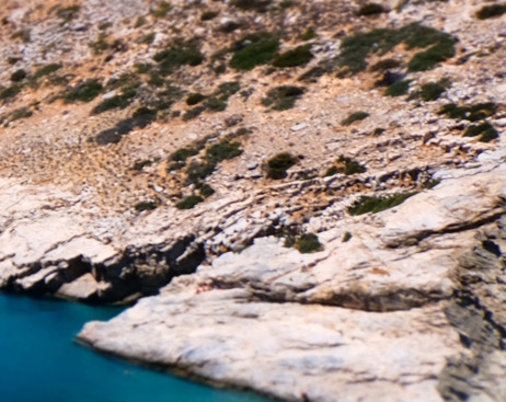 粉象生活邀请码可以改吗