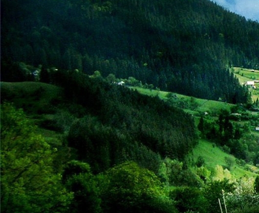 粉象生活没有粉丝能赚钱吗