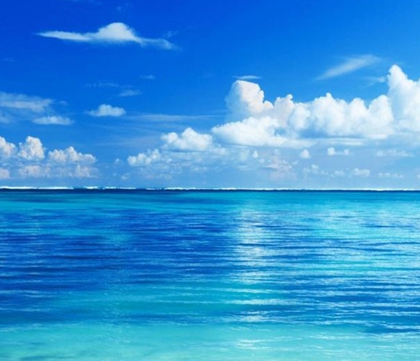 粉象生活做店长怎么赚钱