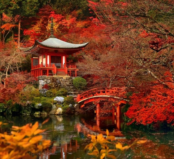 东莞粉象生活收入