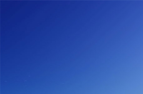 粉象生活是做什么的