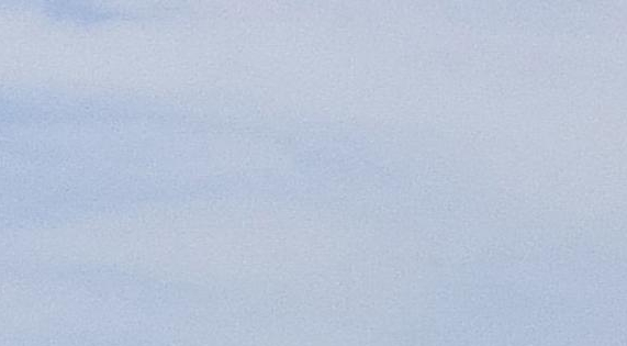 粉象生活是真的假的