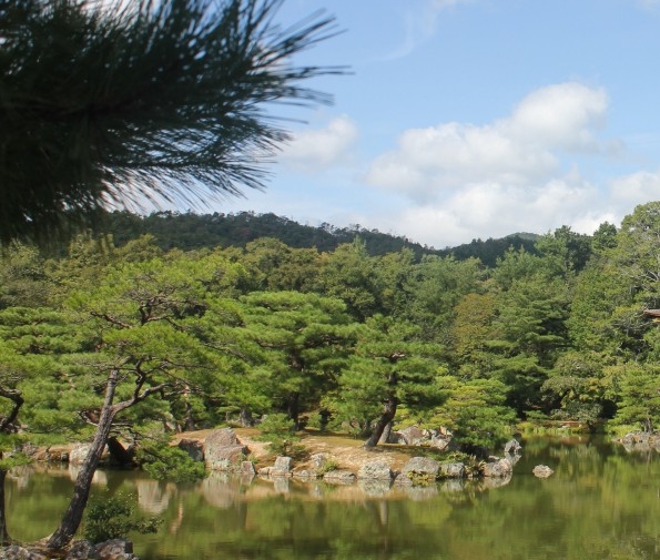 泰国粉象博物馆简介