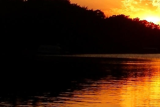 粉象生活399升级会员