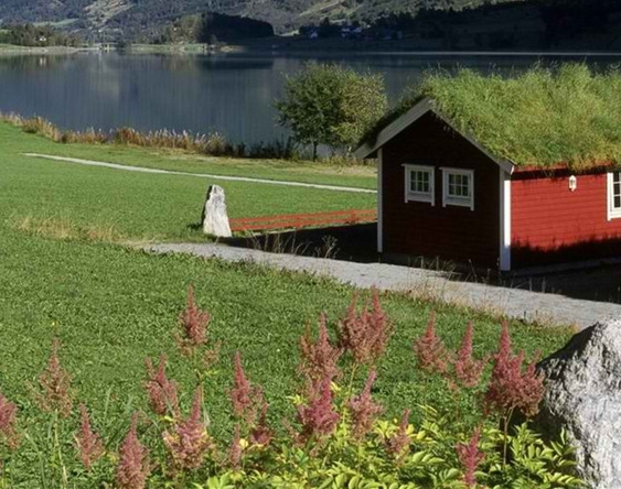 粉象生活升级后大概几天才看到收入