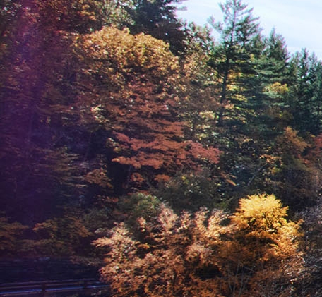 湖南高端粉象生活app