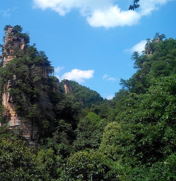 粉象生活邀请码