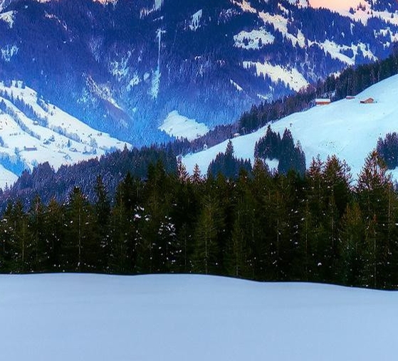 枣阳最低生活保障金