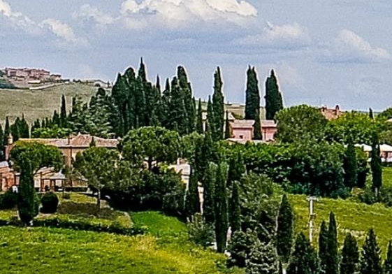 粉象生活怎么做任务