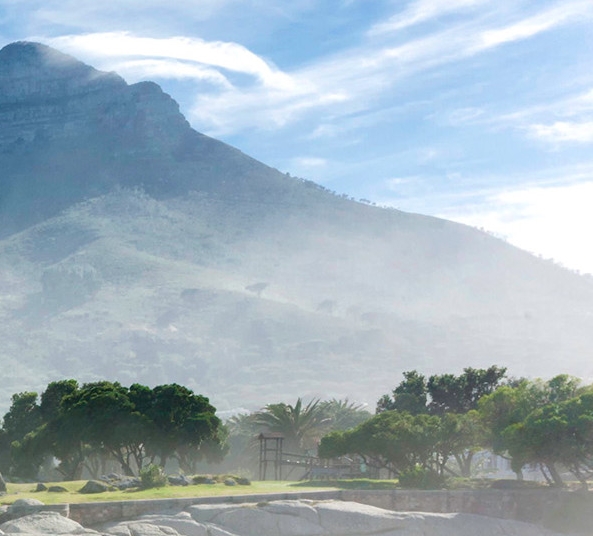 粉象生活提成比例