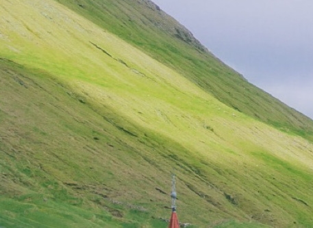 佛山粉象生活使用教程