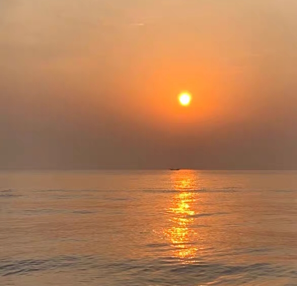 粉象生活怎么赚钱