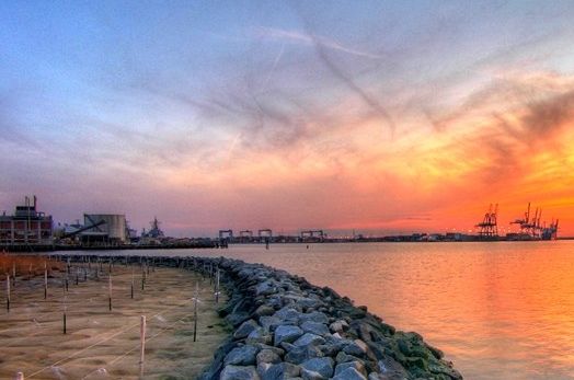 辽宁正规粉象生活是什么