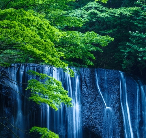 粉象生活返利吗