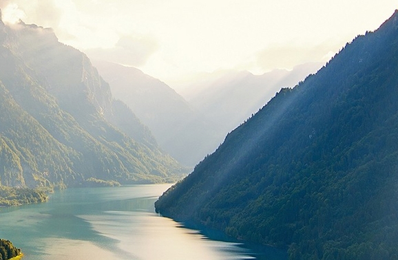 山东高端粉象生活靠谱么