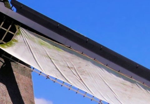 粉象生活可以赚钱吗