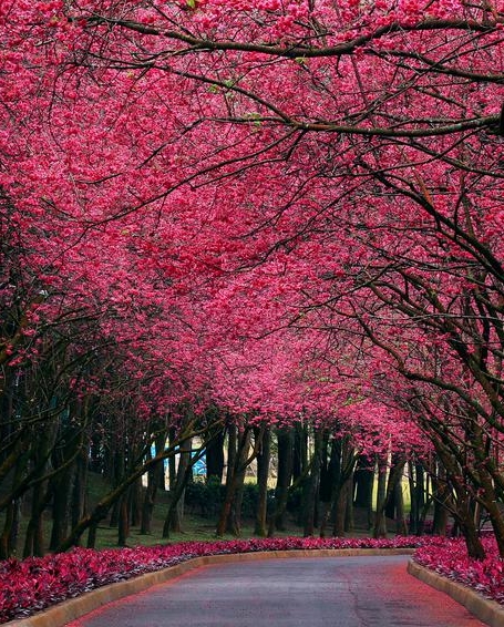 粉象生活真实收入