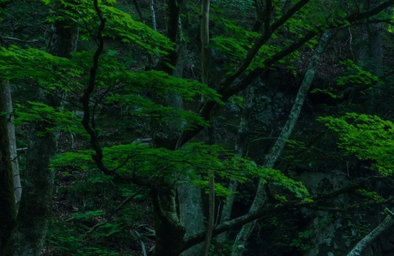 粉象生活用户数据