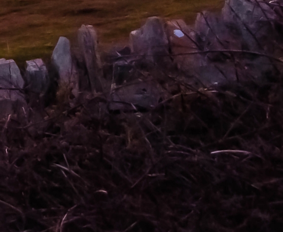 网上赚钱靠谱的方法一周1000元