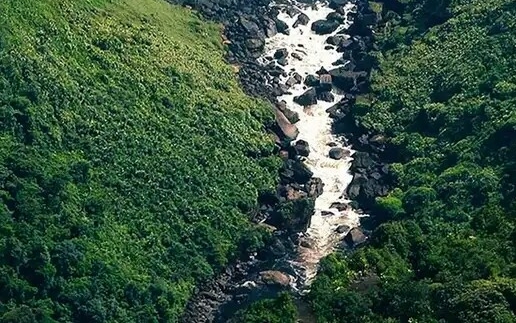 粉象生活可以用淘宝号吗