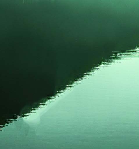 粉象生活是什么?