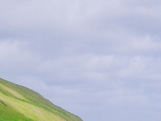 粉象生活是个坑