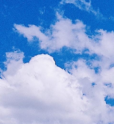 粉象生活下载