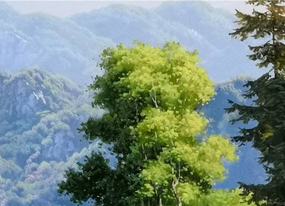 粉象生活邀请码