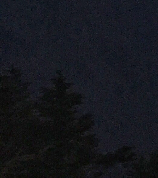 粉象生活可以赚钱吗