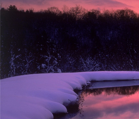 淘粉生活靠谱吗