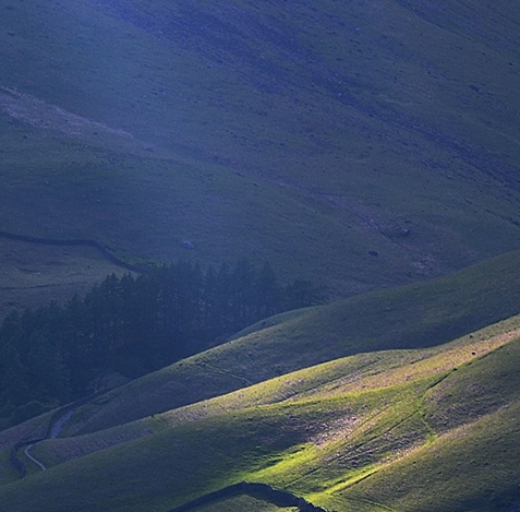 粉象生活怎么注销号码