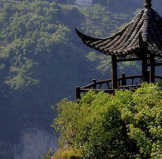 怎么使用粉象生活优惠券