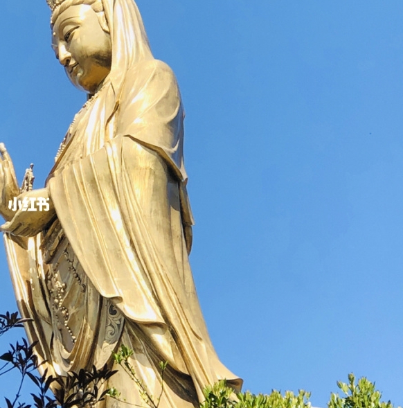 粉象生活的粉丝积分怎么来的